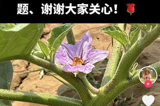 ?️中投杀手！亚历山大三节17中12爆砍30分7助3断 正负值+35